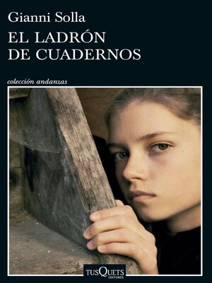 cover image of El ladrón de cuadernos